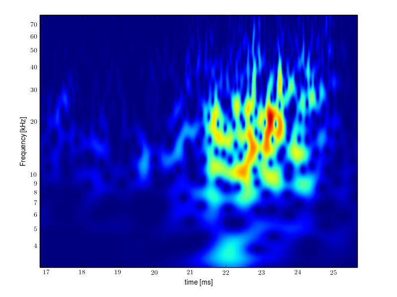 Magnetic island of M = -1